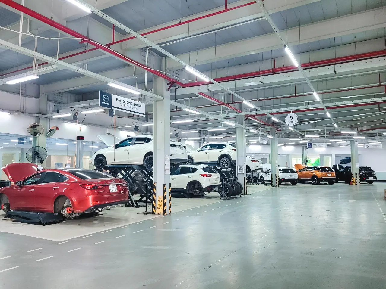 XƯỞNG DỊCH VỤ MAZDA - PEUGEOT - BMW - MINI BẮC NINH